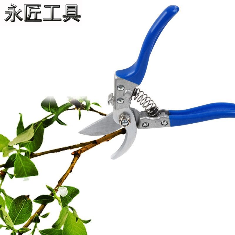 PRUNER SHEAR GARDEN SHEAR TREE PRUNER