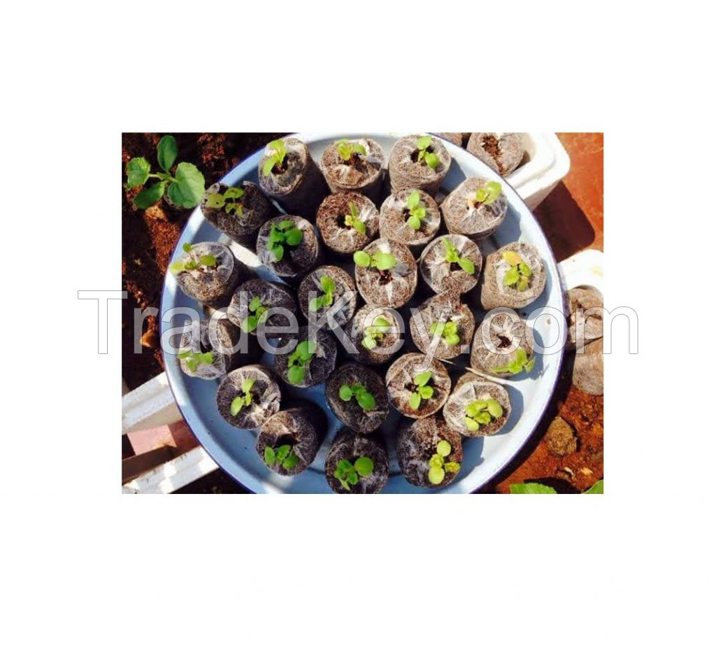 Coir pellets coir jiffy pellets for plants garden cheap price