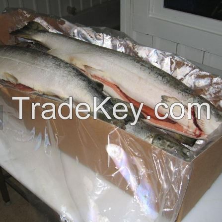 Good quality south Africa  seafood wholesale frozen Atlantic  Salmon