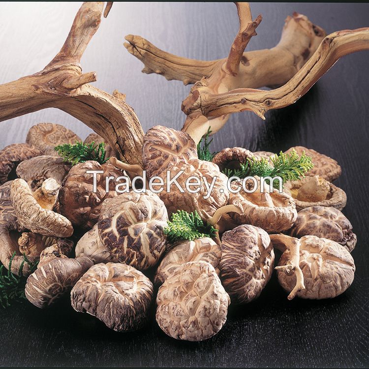 Shitake Shiitake AD Organic Dried Mushroom