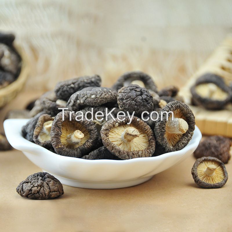 Bulk Dried Whole Magic Mushroom