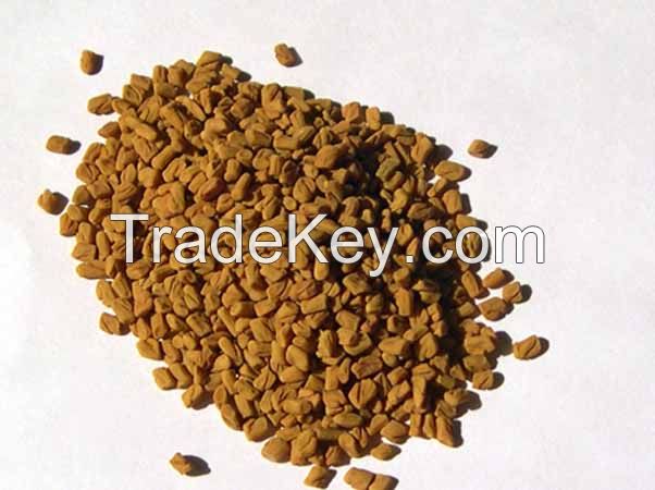 Organic Purify Fenugreek Seeds