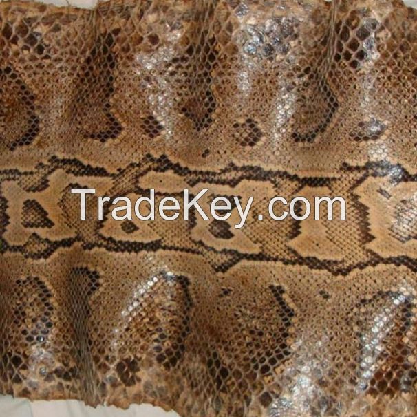 Pure Snake skin for Sale