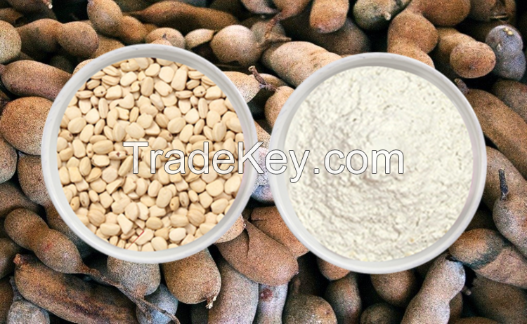 Tamarind Kernel Powder