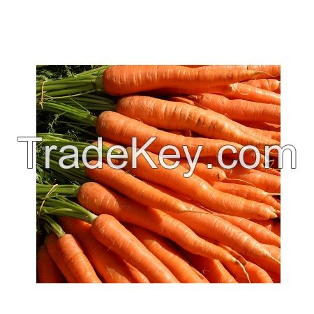 Carrots