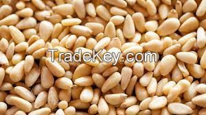 Pine Nuts