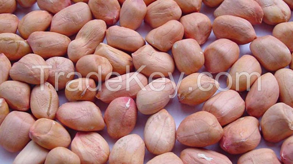 Ground nuts( pea nuts), Cashew seed, Irvingia Gabonensis (Ogbono seed or Africa wild mango seed), Red palm oil, Snails, Dried cat fish( and Africa Rat-tail fish- Aba Aba Knifefish, Freshwater Rat-tail)