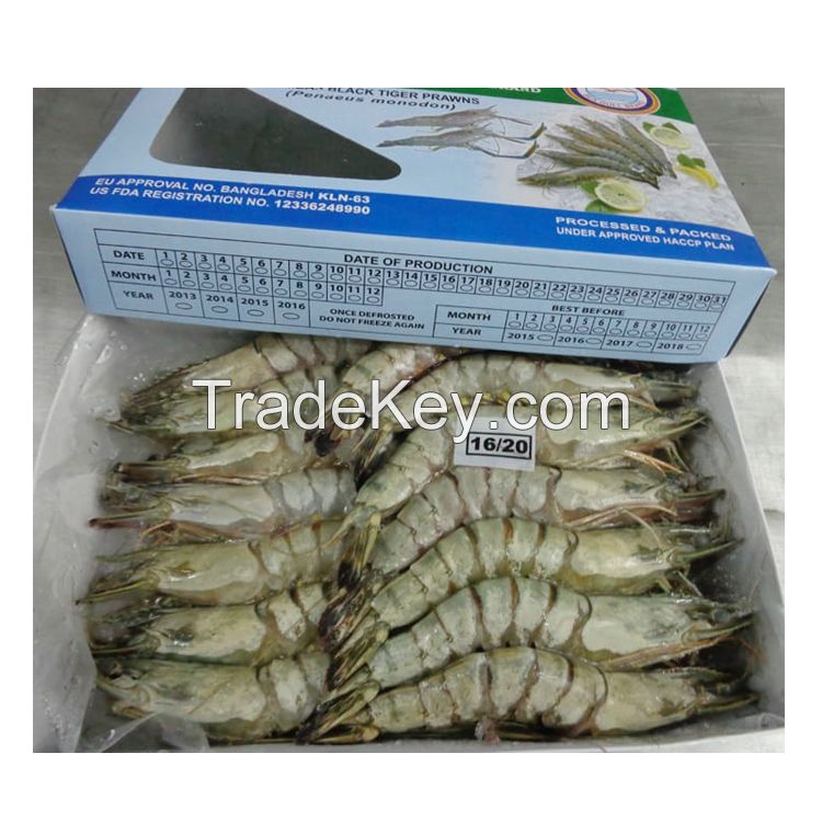 Black Tiger Shrimp for sale 