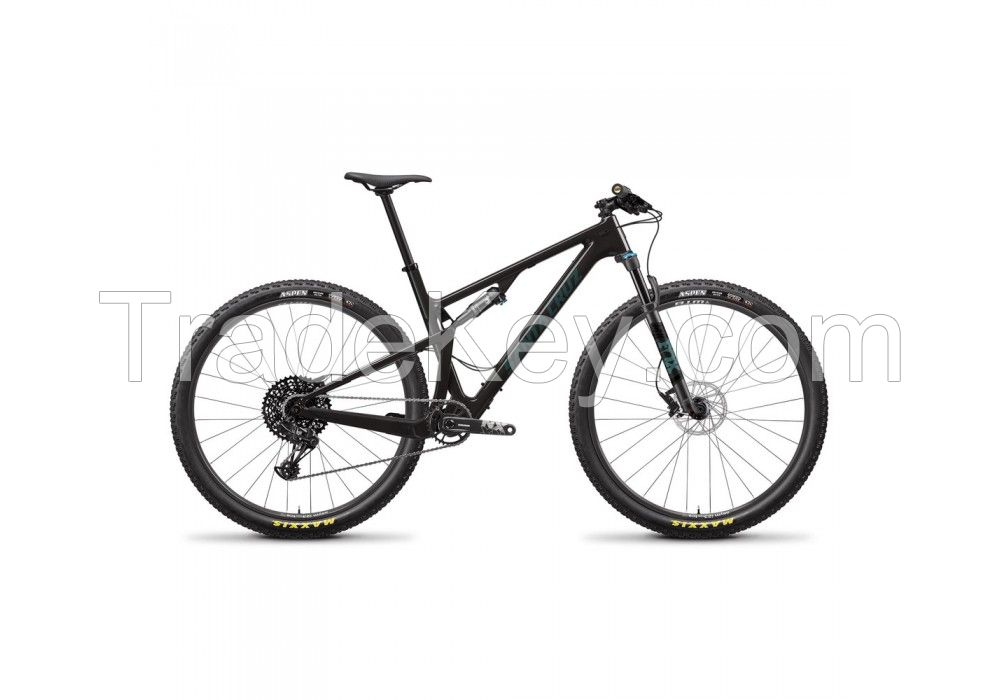 2020 Santa Cruz Blur Carbon C R 29&quot; Mountain Bike (WORLD RACYCLES)