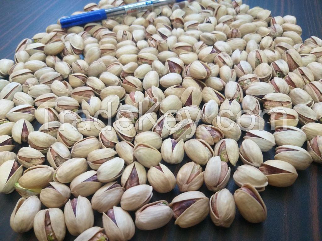 iran pistachio