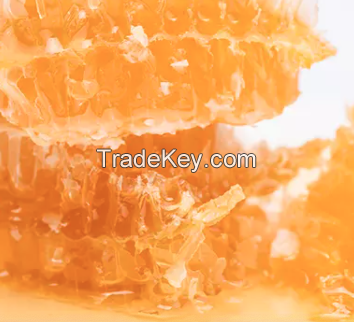 Etumax royal honey 1kg price for buyers from europe 