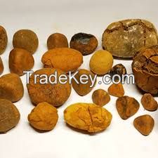 Ox Gallstones