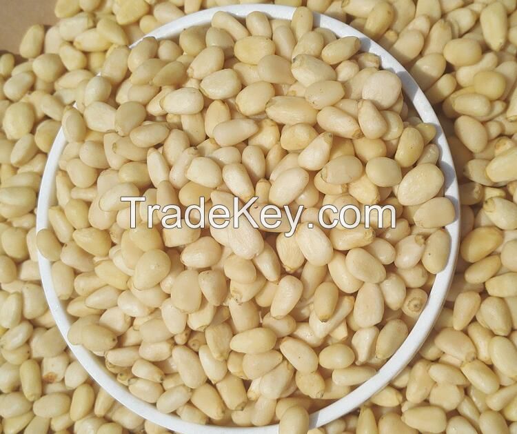 Raw pine nut kernels prices