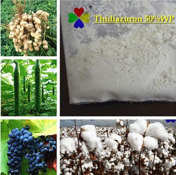 High Quality Plant Growth Regulator Thidiazuron TDZ 98% TC Agrochemicals