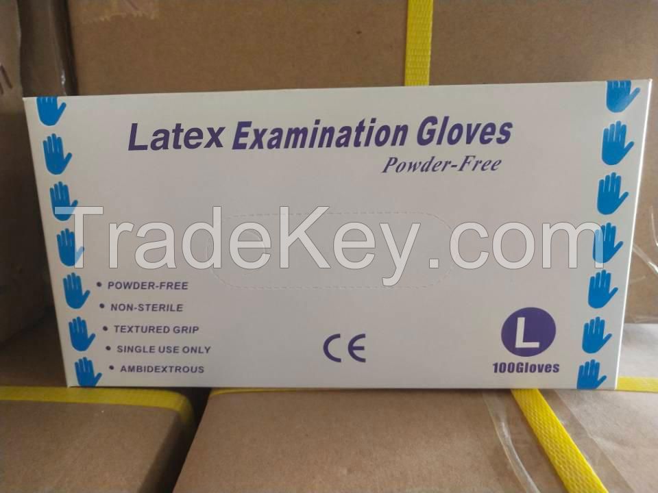 Latex Examination Gloves