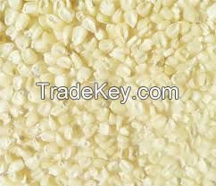 White Corn