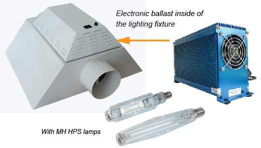 1000W  MH/HPS Hydroponics lighting, grow lighting kit