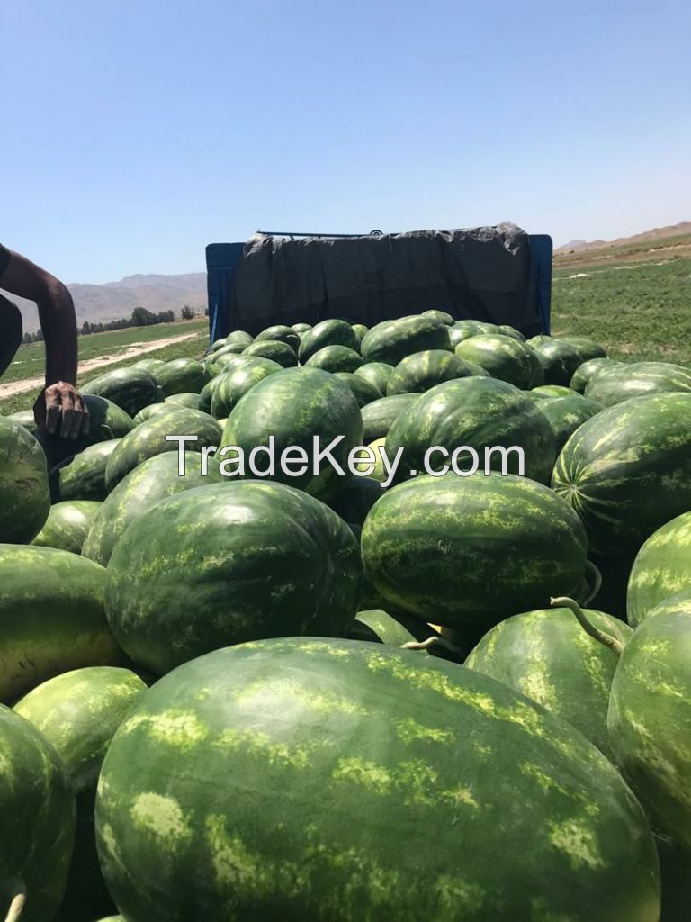 Fresh Watermelon