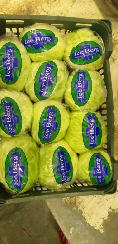 cheap Iceberg lettuce