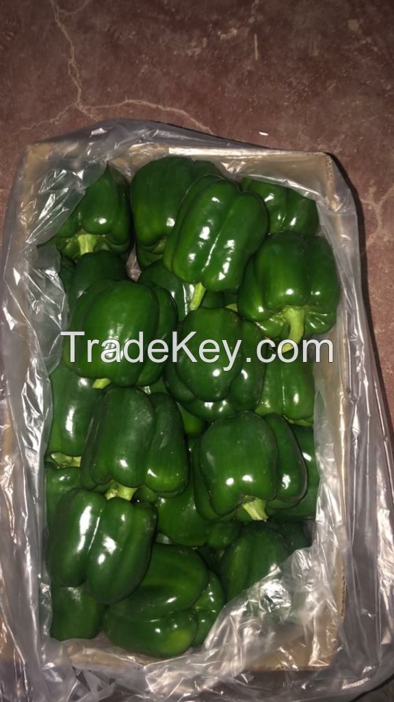 Green Capsicum