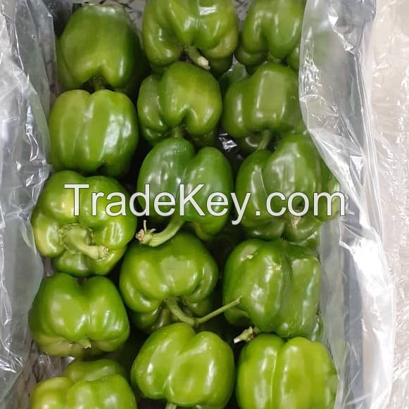 Green Capsicum