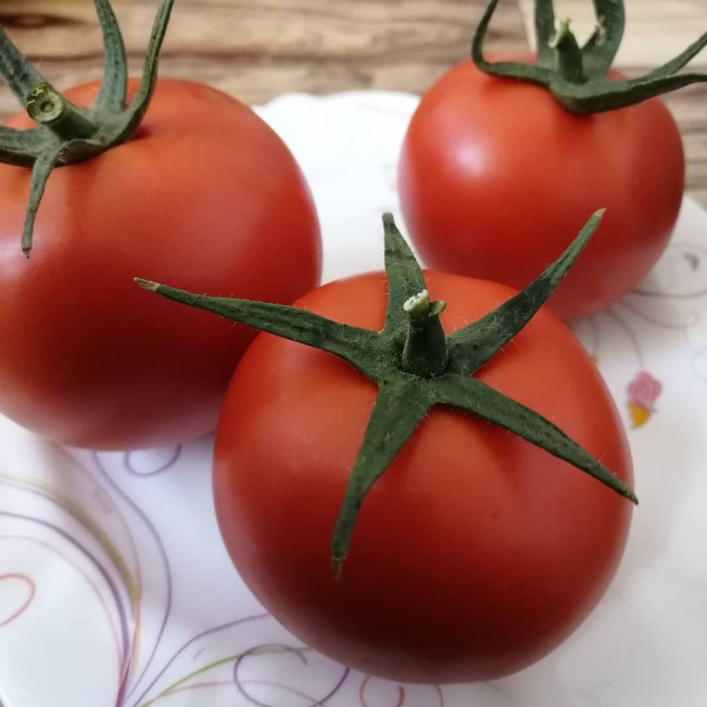 Iranian Tomato