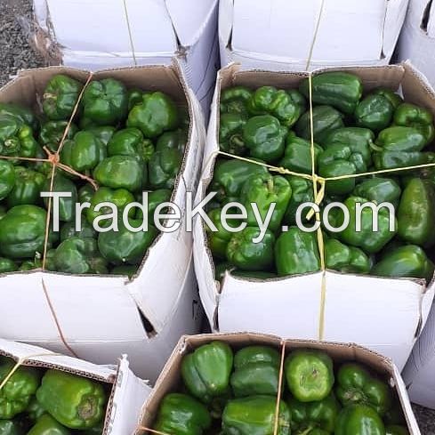 Greenhouse Capsicum