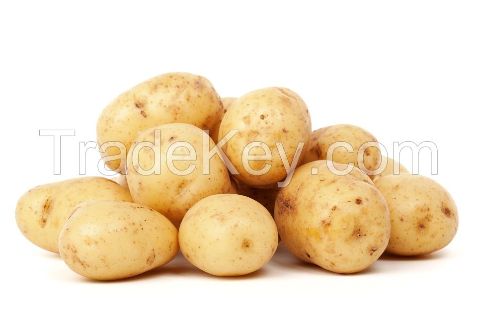 Fresh Potato