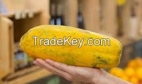 Fresh Papaya from Brazil