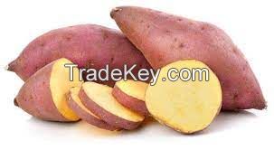 SWEET POTATOS FROM BRAZIL