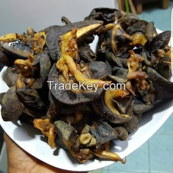 Giant African Land Snails for sale,High Quality Edible Snails Frozen,Dried ,Fresh Snails For sale 