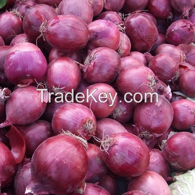 Quality Fresh White Red Onions From South Africa