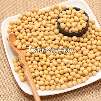 Premium Quality Organic Soybean / Soya bean / Soybeans Seeds 