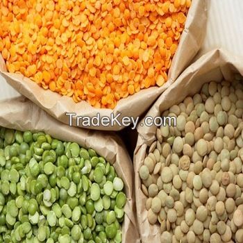 Green Lentils | Red Lentils | Brown Lentils 