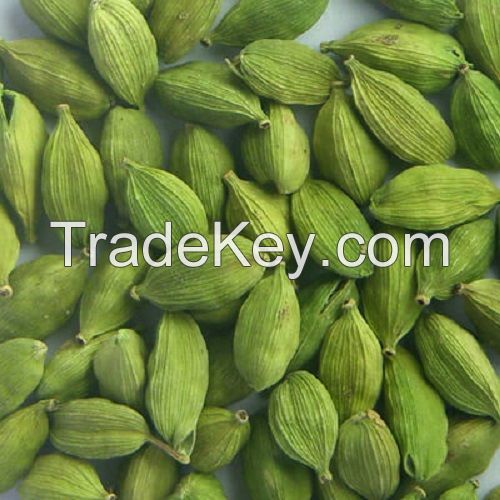 Cheap price High Quality Dried Green Cardamom