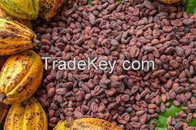 Cocoa beans