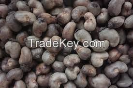 Raw cashew nuts