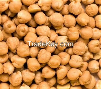 Chickpeas Dried white chickpeas 9mm Kabuil chickpeas