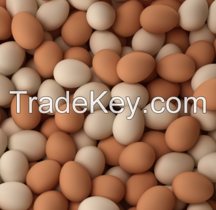 chicken eggs