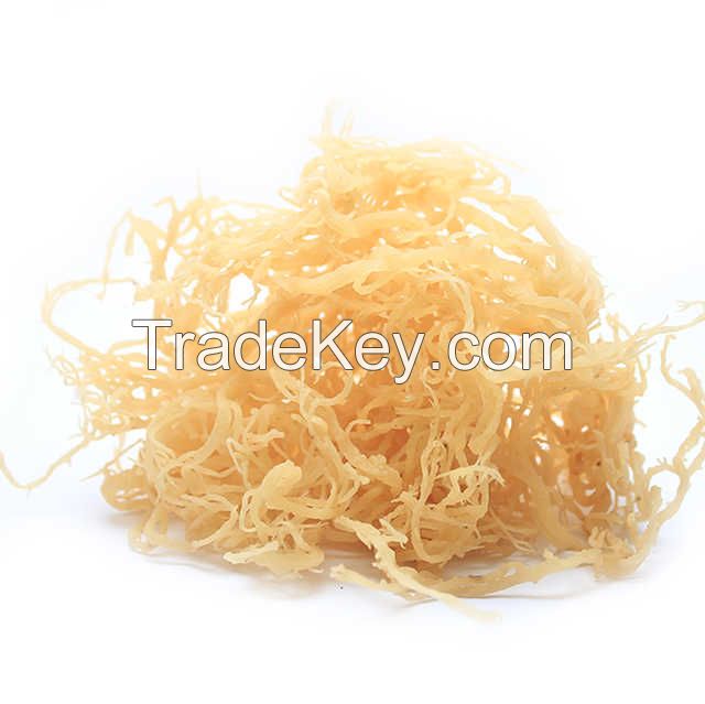 Irish Sea Moss
