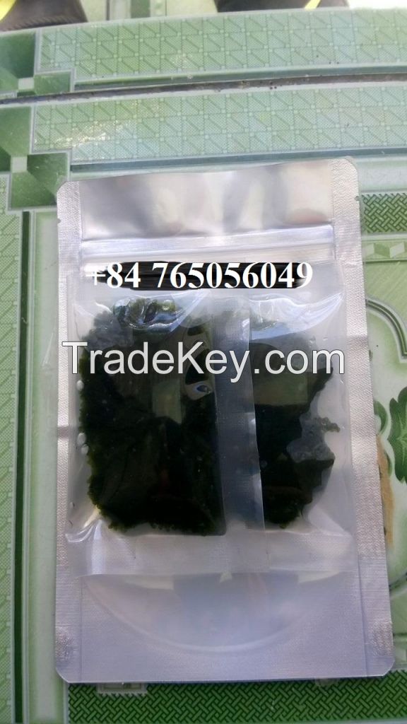 DEHYDRATED SEA GRAPES/ SEAWEED WITH BEST PRICE FROM VIET NAM