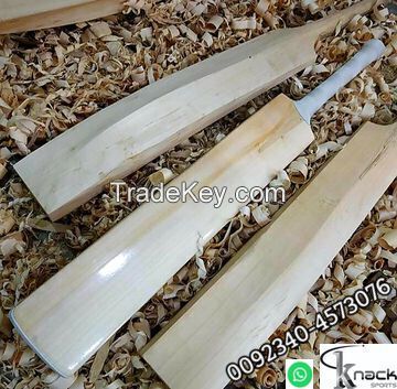 ENGLISH WILLOW HARD BALL BAT PUMA woodworm practics cricketergear bat