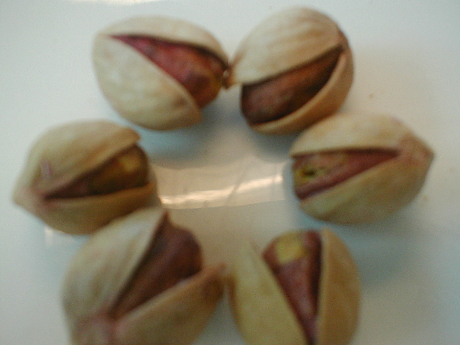 ROUND PISTACHIOS