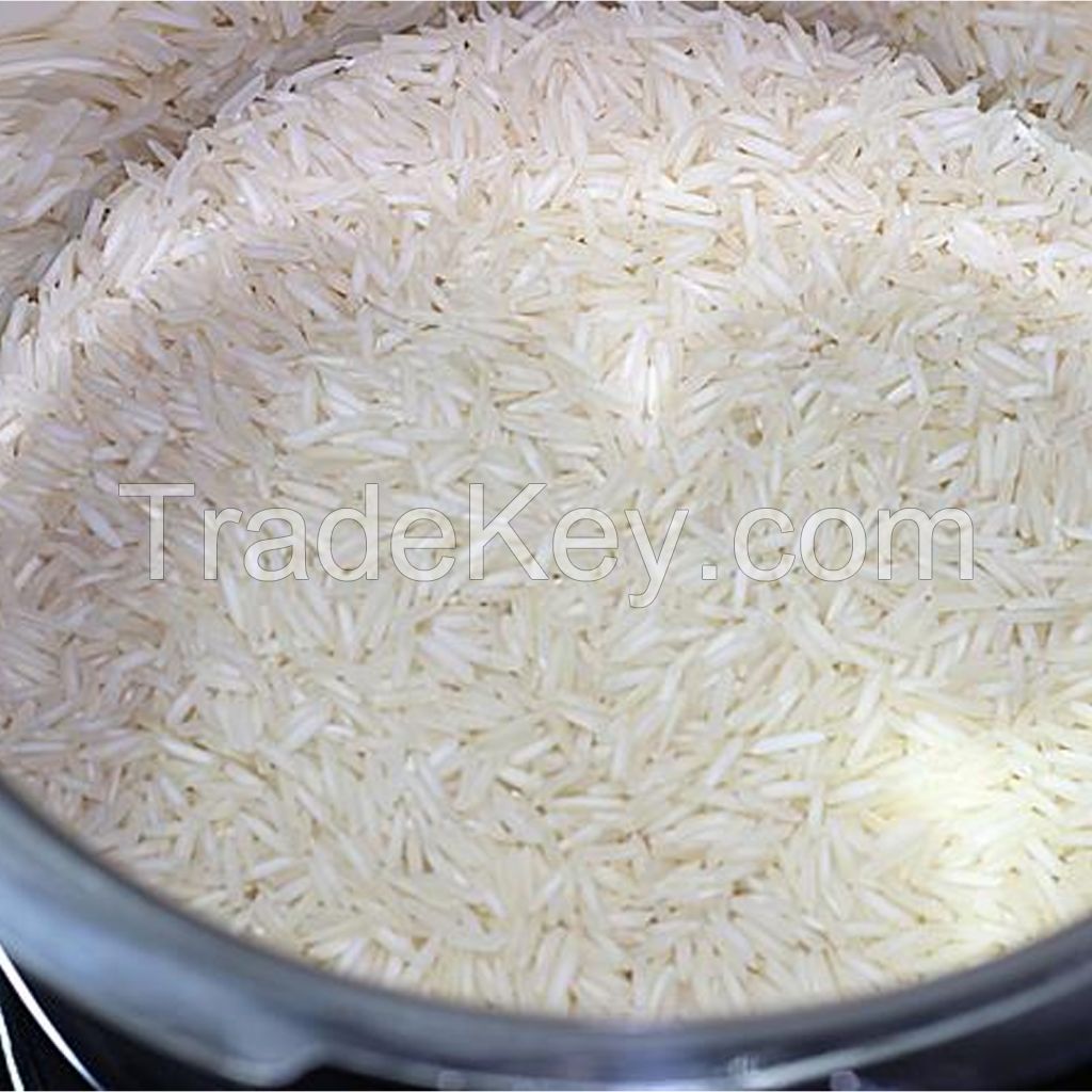 Rice