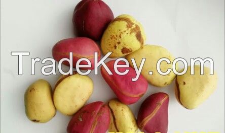 Kola Nut, Kernels