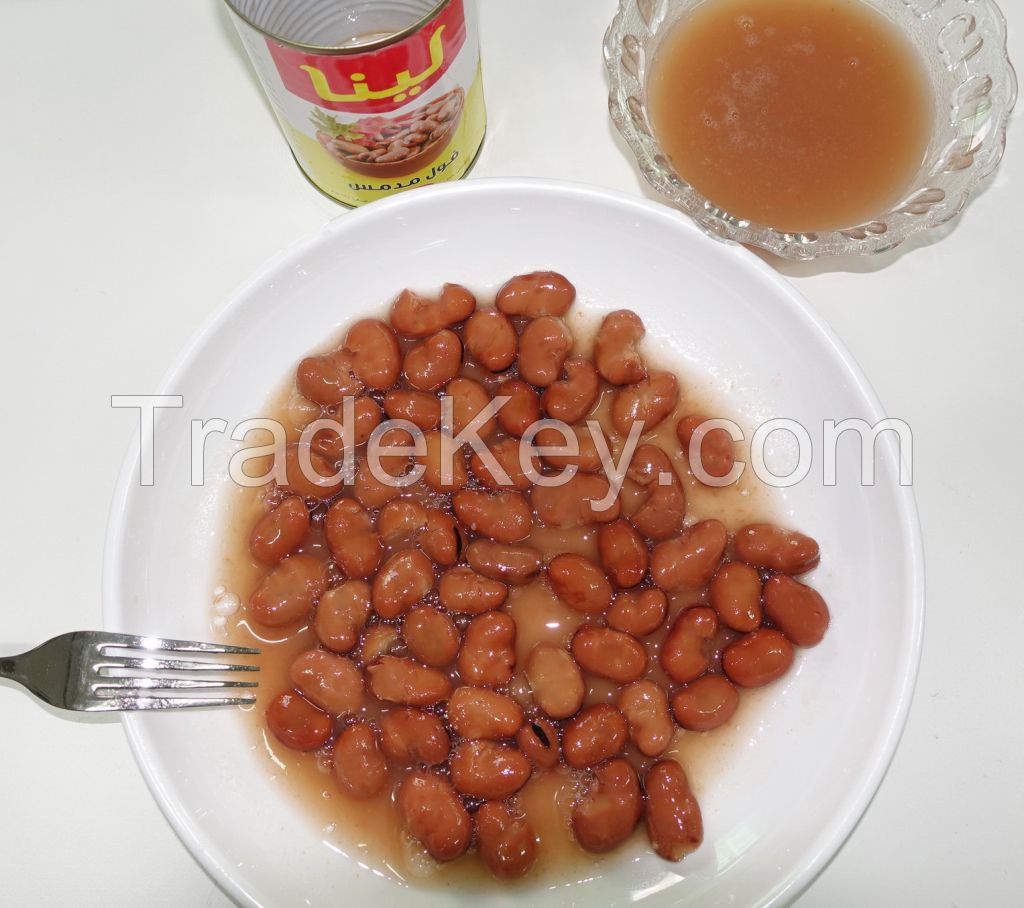 Canned Foul Medammes Beans in Easy Open Lid 379g