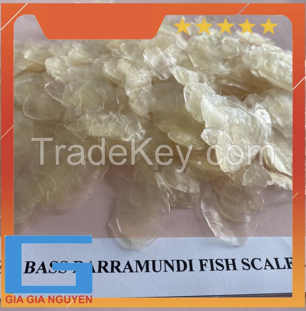 DRIED FISH SCALES FOR EXTRACT TILAPIA FISH SCALES