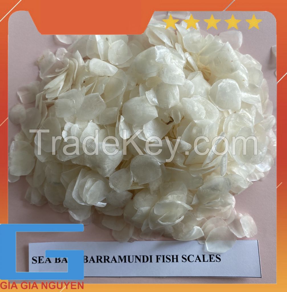 DRIED FISH SCALES FOR EXTRACT TILAPIA FISH SCALES