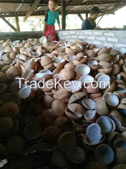 Dry Coconut Edible High Quality Export 