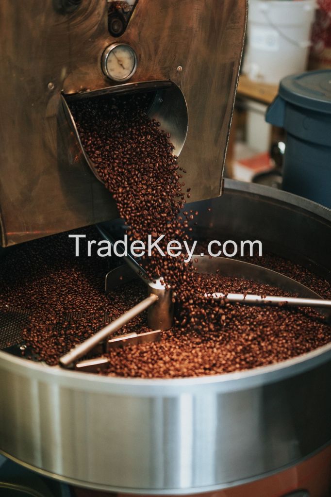 Arabica Coffee Beans 